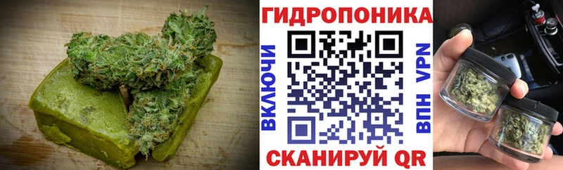 Cannafood марихуана  купить наркоту  даркнет телеграм  Стародуб 