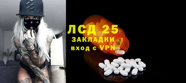 амф Новозыбков