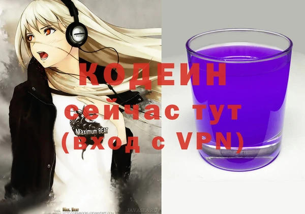 гашик Алзамай