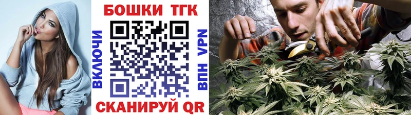 Бошки Шишки ГИДРОПОН  Стародуб 